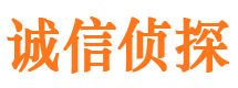 柳南市私家侦探